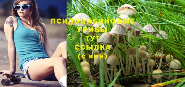 PSILOCYBIN Абаза