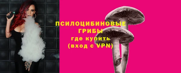 PSILOCYBIN Абаза