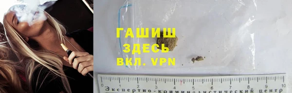прущие грибы Снежногорск