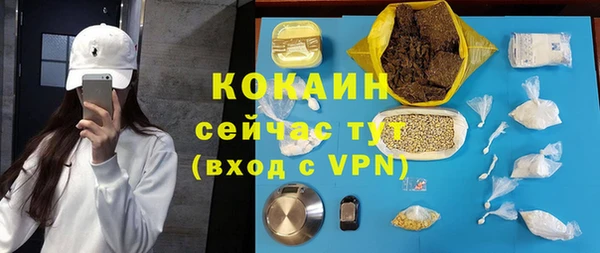 прущие грибы Снежногорск