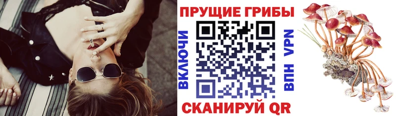 Псилоцибиновые грибы Magic Shrooms  где купить наркоту  Нариманов 