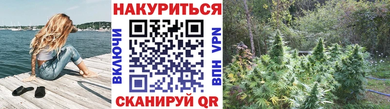 где купить наркотик Нариманов Конопля White Widow